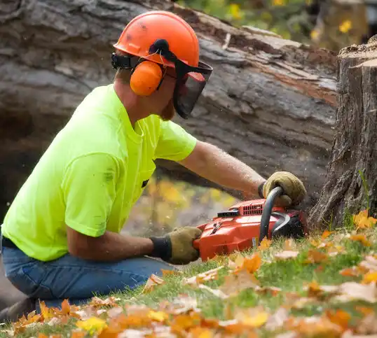 tree services Pomfret